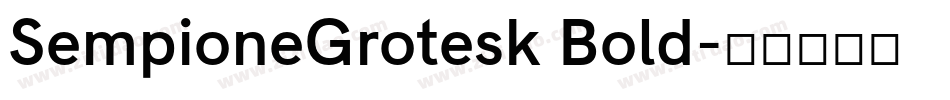 SempioneGrotesk Bold字体转换